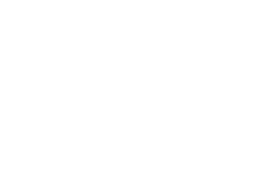 Zed Insurance Logo